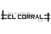 logo3